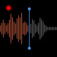 Voice Recorder & Voice Memos